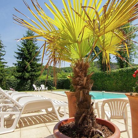 Appealing Apartment In Vezac With Swimming Pool Beynac-et-Cazenac Zewnętrze zdjęcie