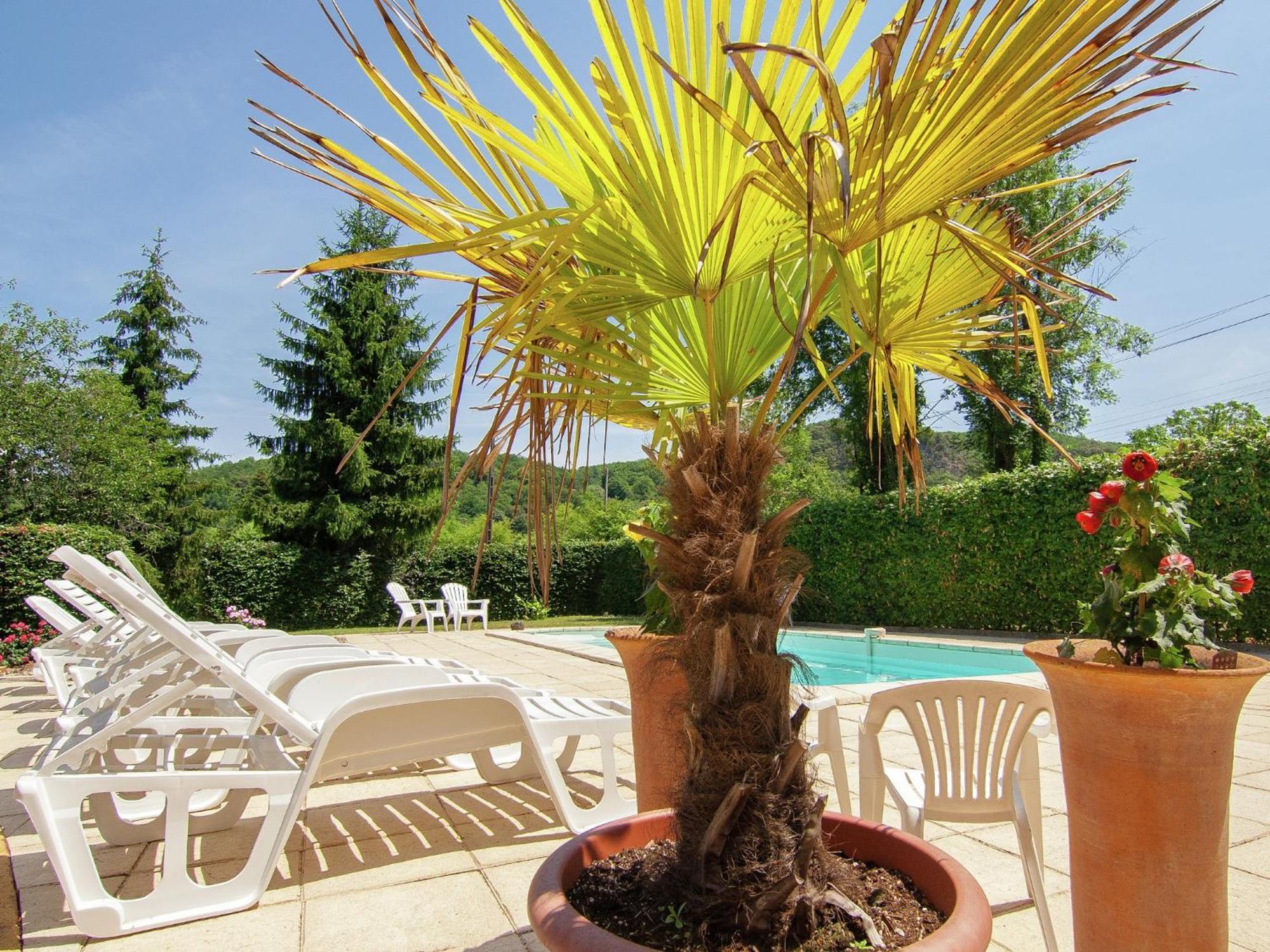 Appealing Apartment In Vezac With Swimming Pool Beynac-et-Cazenac Zewnętrze zdjęcie
